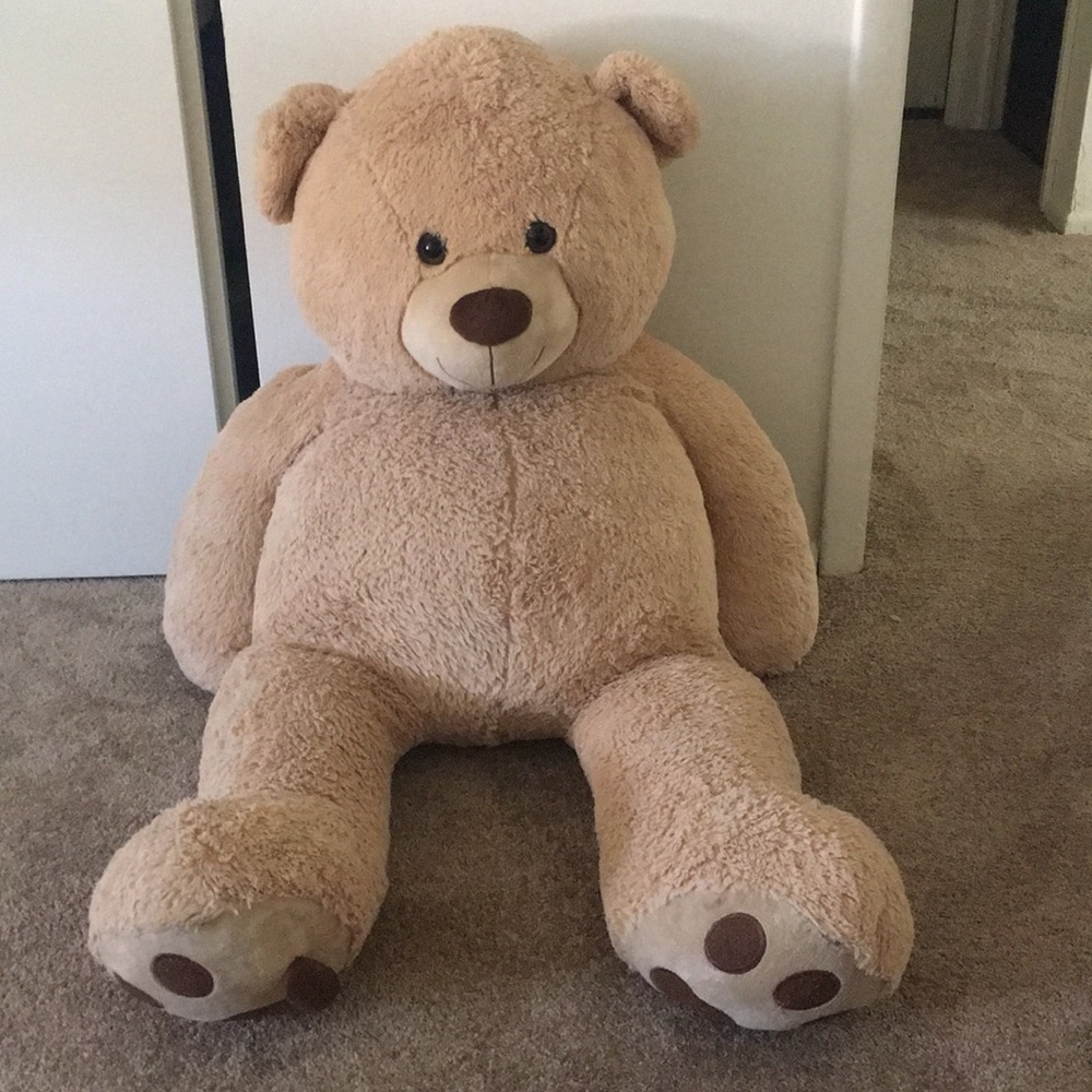 Teddy bear